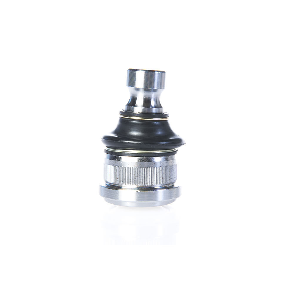 ROTULA INF MASTER 2