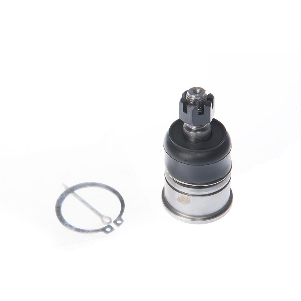 ROTULA INF ACCORD 16mm