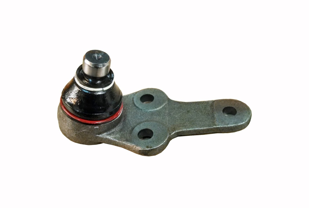 ROTULA INF FOCUS 98/04 16.5mm 3 AGU