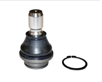 ROTULA INF FRONTIER D40 NP300 ALASKAN